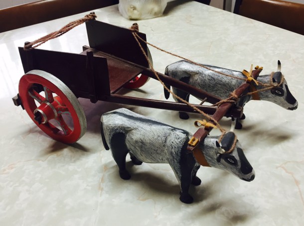 Bruno and Tony told me that Dom is a bit of a cow whisperer. 