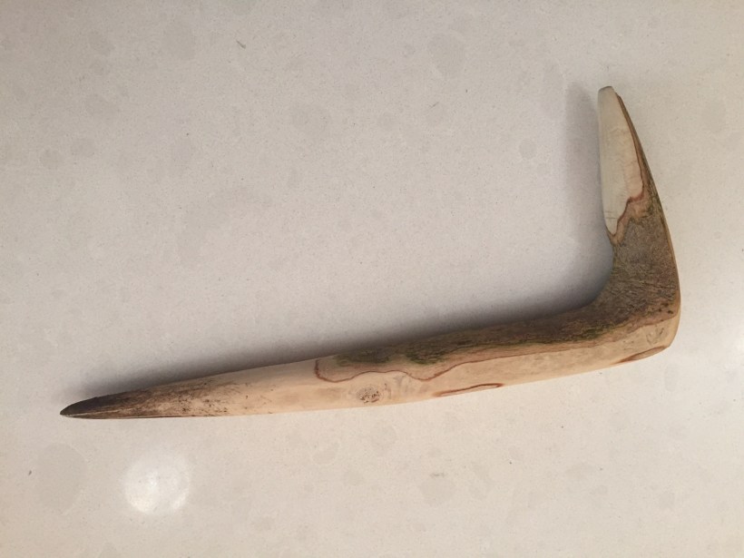 Bruno and Tony joked that they hadn't been presented with one of these. Maybe it's because I look like I need all the help I can get!